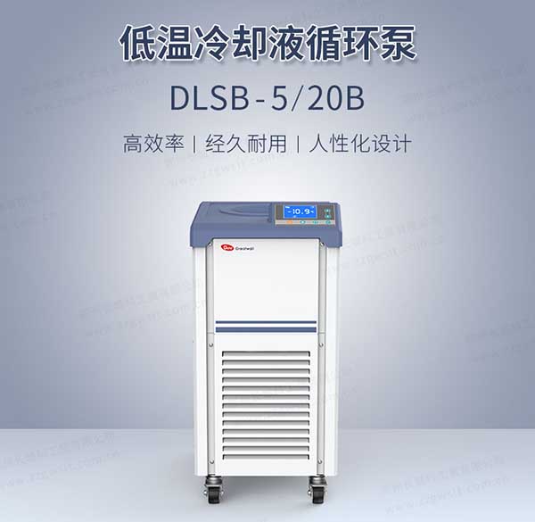 DLSB系列型低温冷却液循环泵